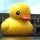 Max The Duck Avatar
