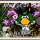 kenneth1000 Avatar