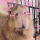 Djgtjvgyhxgy Avatar