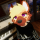 starfield35 Avatar