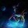 [¡¢ρα¢.νιρ!]2009cp A.K.A. Ninja Shodow Avatar
