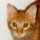 Jack Hopper Avatar