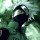 cooldude7401 Avatar