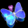 evie999 Avatar