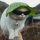 mangoes Avatar