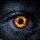 ninniy116 Avatar