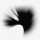 Hawkey16 Avatar