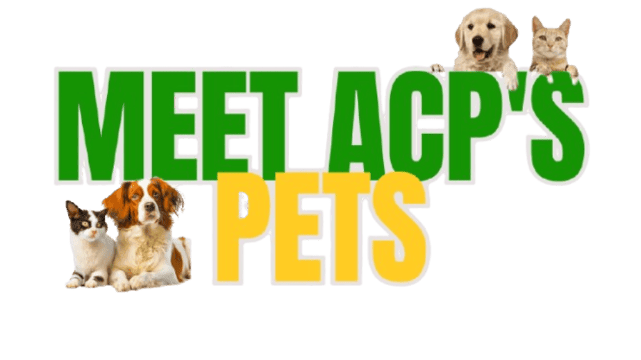 Meet the Pets of ACP!